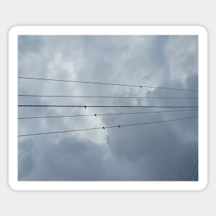 Birds on a wire Sticker